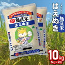 【ふるさと納税】令和5年産 はえぬき 無洗米 5kg×2袋 計10kg JA庄内たがわ 山形県鶴岡市産 | 返礼品 お取り寄せ ブラ…