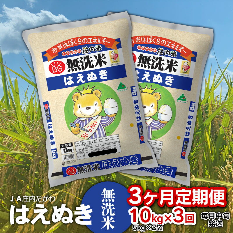 令和5年産【定期便】はえぬき 無洗米 10kg(5kg×2袋)×3ヶ月 JA庄内たがわ 山形県鶴岡市産 | 返礼品 お取り寄せ ブランド米 白米 東北