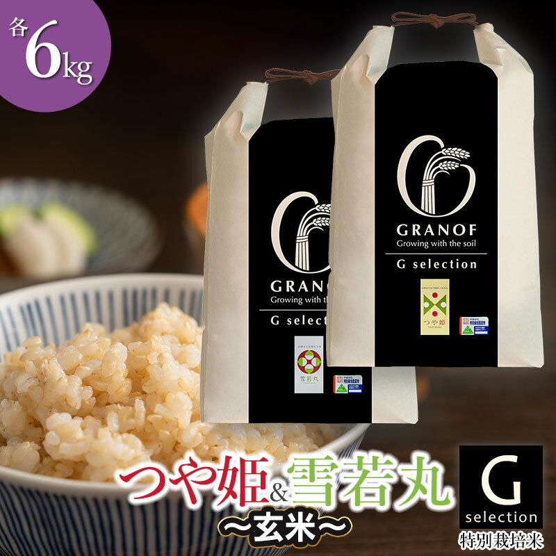 【ふるさと納税】【令和7年産 先行予約】Gセレクション つや姫・雪若丸【玄米】 各6kg(計12kg) 山形県鶴岡産