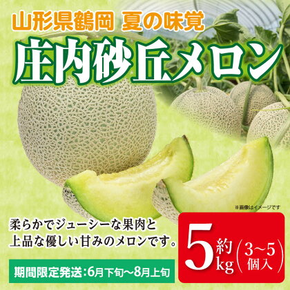 【令和6年産 先行予約】庄内砂丘メロン 約5kg(3〜5玉) 青肉 アンデスメロン 糖度15度以上 | 山形県 鶴岡市 山形 鶴岡 楽天ふるさと 納税 フルーツ 果物 くだもの お取り寄せ めろんギフト 内祝い 贈答品 果実 予約