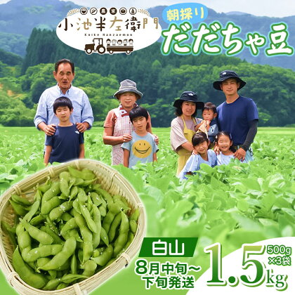 【令和6年産 先行予約】朝採りだだちゃ豆 白山 1.5kg(500g×3袋) 枝豆 小池半左衛門　山形県鶴岡市