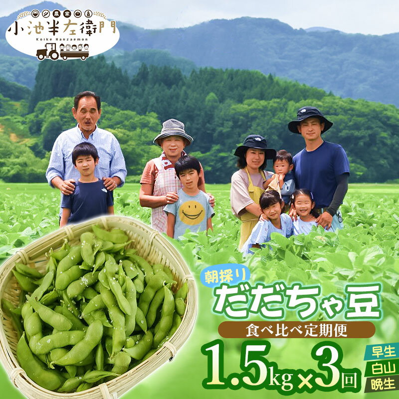 【ふるさと納税】【令和6年産 先行予約】朝採りだだちゃ豆 食べ比べ定期便 1.5kg (500g×3袋)×3回 お届け 早生・白山・晩生 枝豆 小池半左衛門　山形県鶴岡市のサムネイル