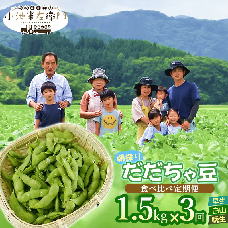 [令和6年産 先行予約]朝採りだだちゃ豆 食べ比べ定期便 1.5kg (500g×3袋)×3回 お届け 早生・白山・晩生 枝豆 小池半左衛門 山形県鶴岡市