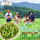 【ふるさと納税】【令和6年産 先行予約】朝採りだだちゃ豆 食べ比べ定期便 1.5kg (500g×3袋)×3回 お届け 早生・白山・晩生 枝豆 小池半左衛門　山形県鶴岡市