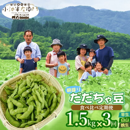 【令和6年産 先行予約】朝採りだだちゃ豆 食べ比べ定期便 1.5kg (500g×3袋)×3回 お届け 早生・白山・晩生 枝豆 小池半左衛門　山形県鶴岡市