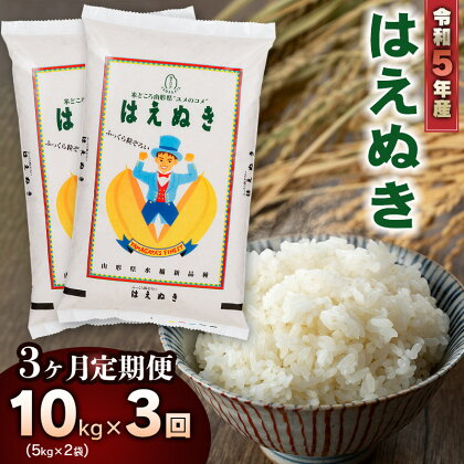 【3ヶ月定期便】令和5年産 山形県庄内産　はえぬき 精米10kg(5kg×2袋)×3回お届け