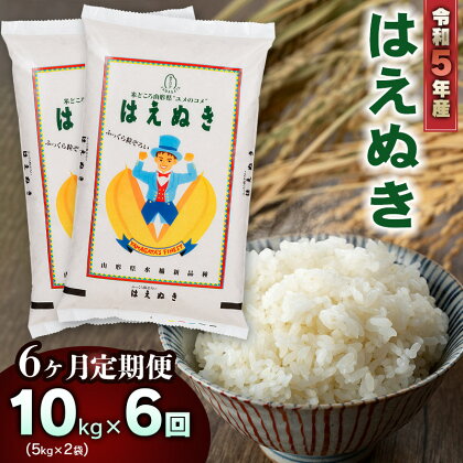 【6ヶ月定期便】令和5年産 山形県庄内産　はえぬき 精米10kg(5kg×2袋)×6回お届け