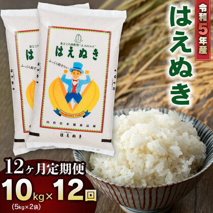 【12ヶ月定期便】令和5年産 山形県庄内産　はえぬき 精米10kg(5kg×2袋)×12回お届け