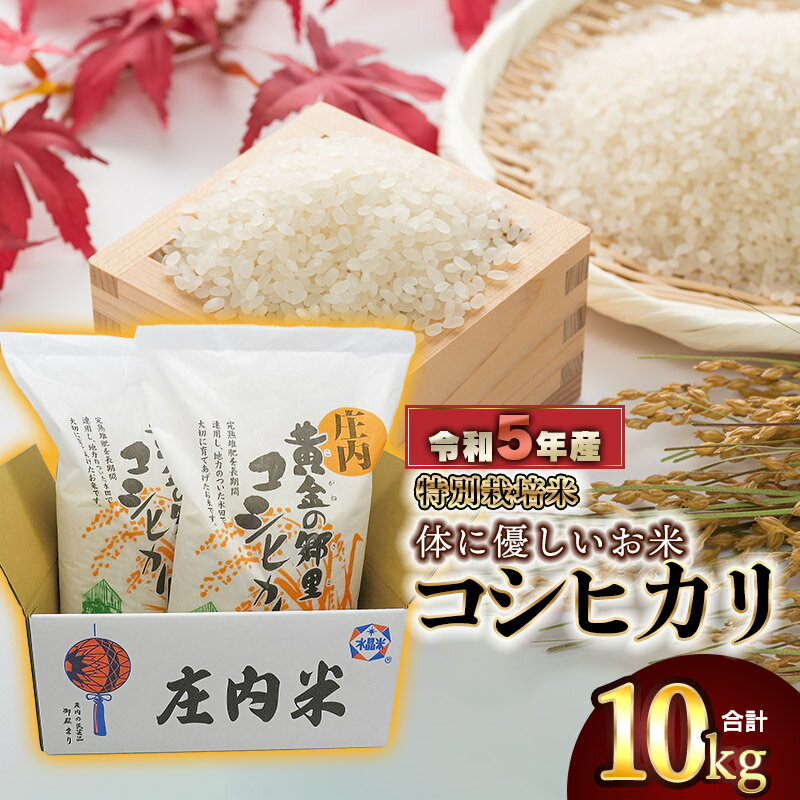 [令和5年産]体に優しいお米 特別栽培米 コシヒカリ 精米10kg(5kg×2袋)