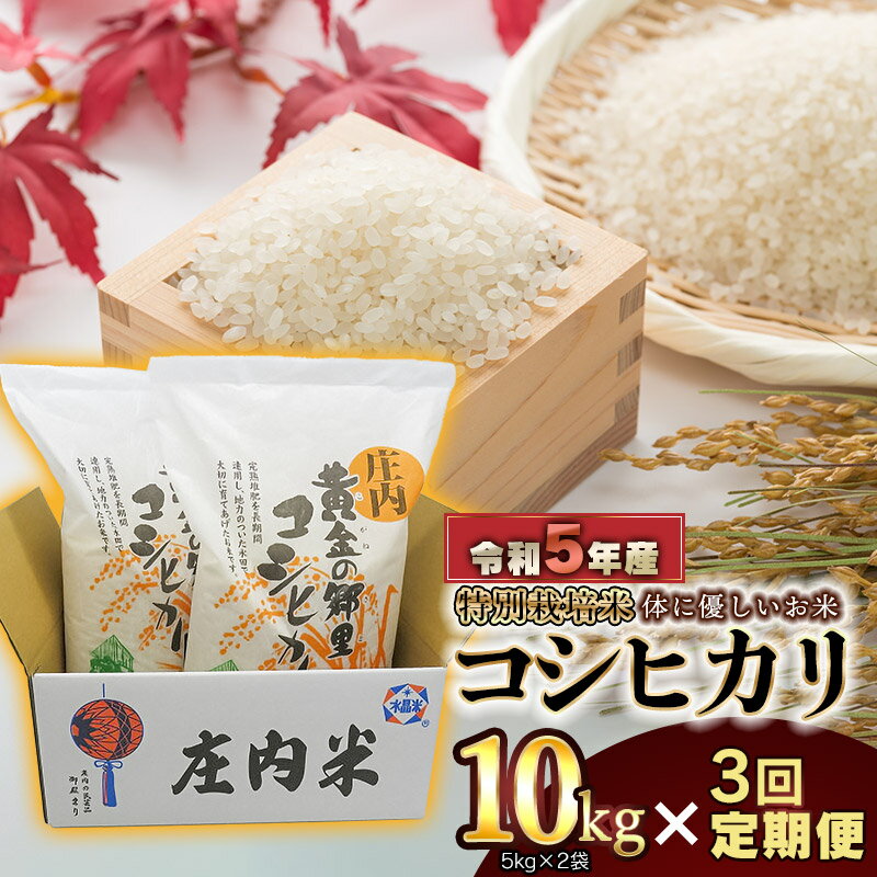 [3ヶ月定期便][令和5年産]体に優しいお米 特別栽培米 こしひかり 精米10kg(5kg×2袋)×3回