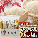 【ふるさと納税】【6ヶ月定期便】【令和5年産】体に優しいお米 特別栽培米 こしひかり 精米10kg（5kg×2袋）×6回