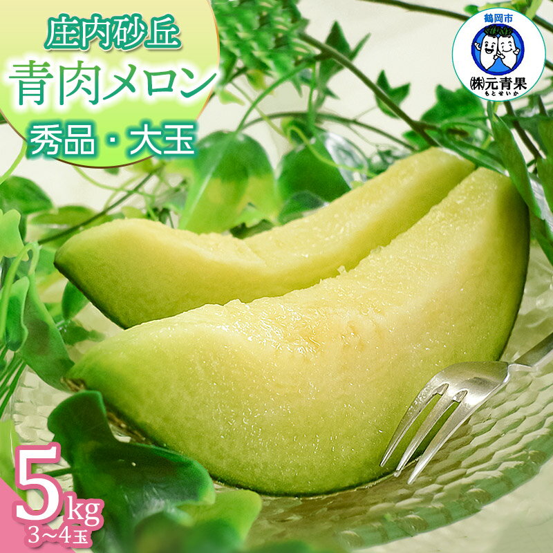 【ふるさと納税】【令和7年産先行予約】庄内砂丘青肉メロン（品種おまかせ） 秀品 大玉 約5kg (3〜4玉) 山形県鶴岡市産　元青果