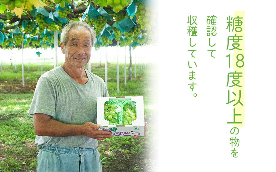 山形県鶴岡市の画像3