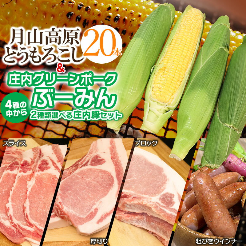 【ふるさと納税】 【令和7年産先行予約】月山高原とうもろこし20本と庄内グリーンポーク“ぶーみん”セット 豚ロース4種(ロースブロック・ロース厚切り・ローススライス・粗びきウインナー)から2種選べます!