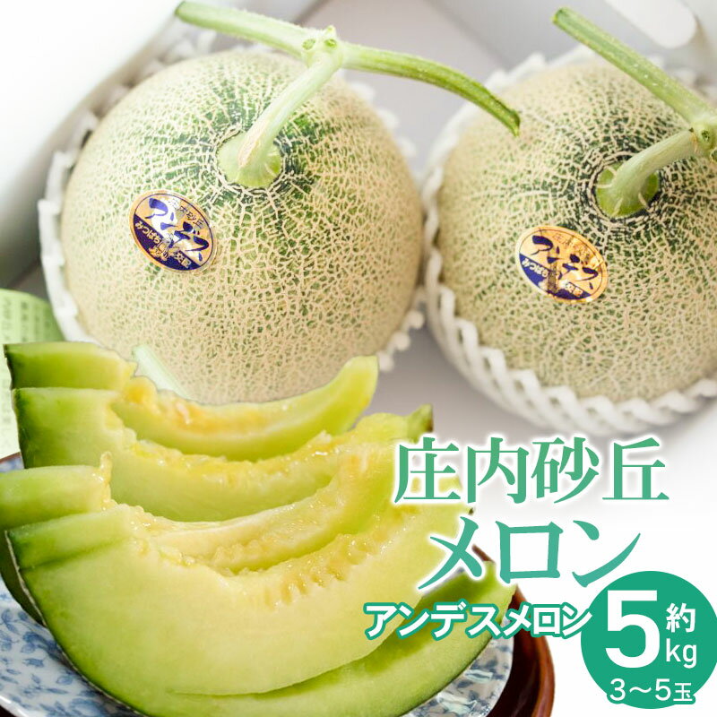 【ふるさと納税】【令和8年産先行予約】菅原農園の庄内砂丘メロン　アンデスメロン (青肉) 秀品 約5kg (3〜5玉) K-839 | 山形県 鶴岡市 フルーツ 果物 くだもの お取り寄せ グルメ 青肉 めろん 特産品 名産品のサムネイル