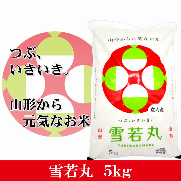 【ふるさと納税】雪若丸 精米5kg　定期便選べる発送回数（1～12回）