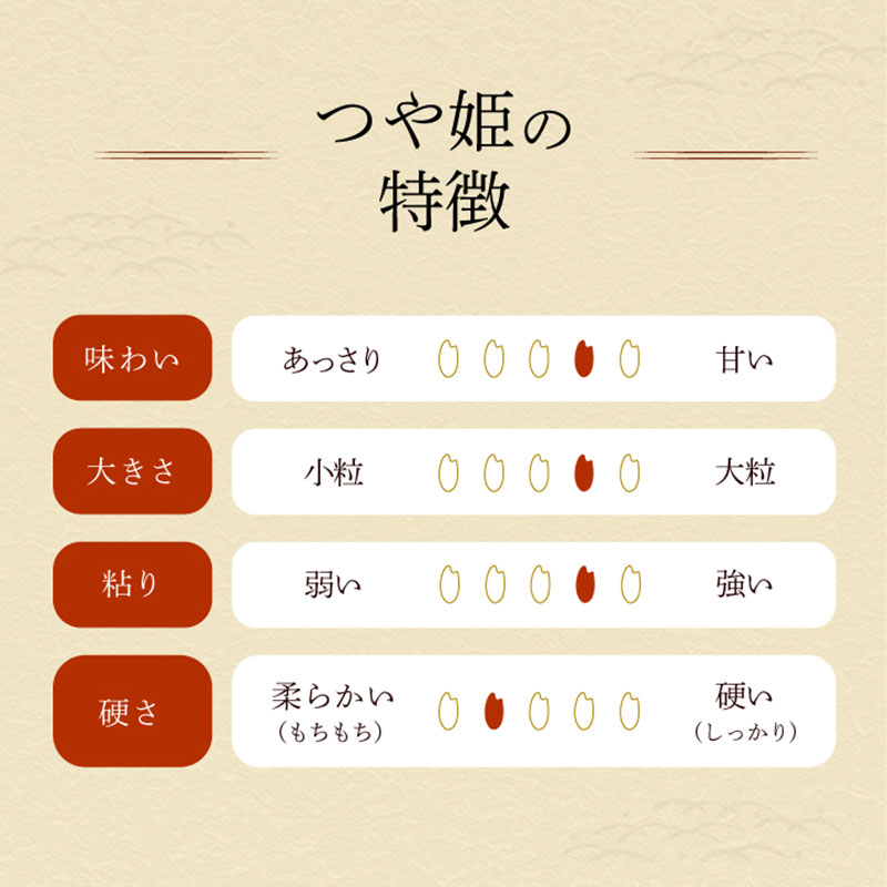【ふるさと納税】【選べる定期便】令和7年産山形県産 つや姫 精米5kg（1回・3〜6ヶ月）　庄内観光物産館