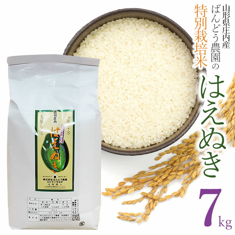 [令和5年産]ばんどう農園の特別栽培米 はえぬき 精米 7kg