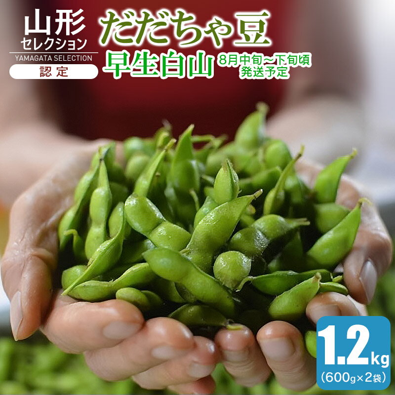 [令和6年産 先行予約]山形セレクション認定 だだちゃ豆「早生白山」1.2kg(600g×2袋)レンジで調理可能なレンジ袋付き 発送時期:2024年8月中旬〜8月下旬発送 枝豆 | 山形県 鶴岡市産 えだまめ お取り寄せ ご当地