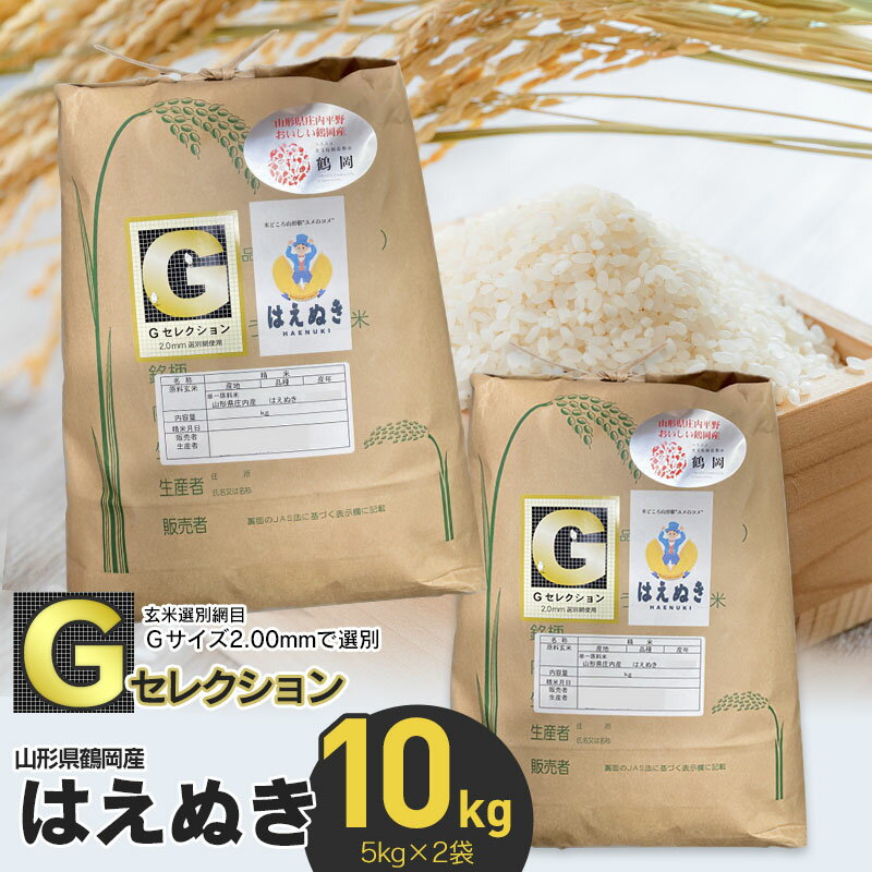 【ふるさと納税】【令和5年産】山形県鶴岡産　Gセレクション はえぬき 10kg(5kg×2袋)