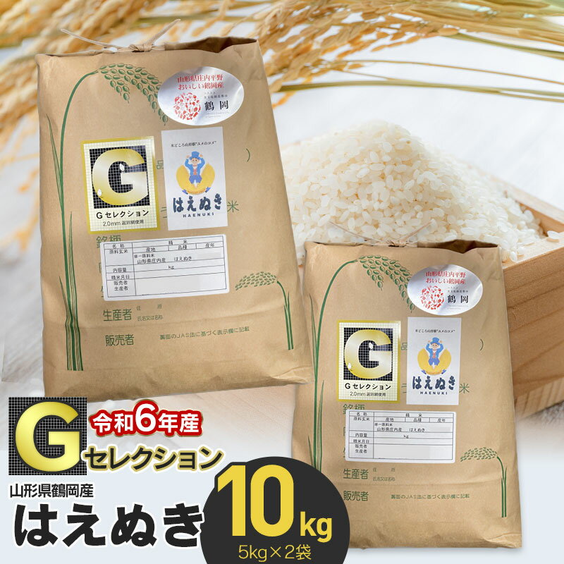 【令和6年産 先行予約】Gセレクション はえぬき 10kg(5kg×2袋) 山形県鶴岡産 つき加減(精米加減)が選べる（玄米・5分つき・7分つき・白米） A16-001