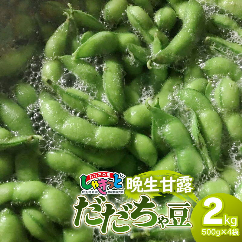 返礼品説明 内容枝豆 2kg（500g×4袋） 品種だだちゃ豆　晩生甘露 発送時期令和6年8月下旬〜9月上旬頃 消費期限発送日含む4日 保存方法要冷蔵 提供事業者庄内百万石の里しゃきっと 発送方法クール便（冷蔵発送） 申込受付期間令和6年8月3日（土）までご入金ください。 返品・交換について ※返礼品の発送には万全を期しておりますが、到着後は必ずすぐに開封し中身の確認をお願いします。 ※外装破損・水漏れ・異物・汚れ・誤配送など、異常があった場合はお早めにご連絡ください。当市の不備による初期不良・破損についての交換などの対応は、到着後2日以内までとさせていただきます。 ※到着後2日を経過したものについての、返品・交換などの対応は一切お受けできませんので、予めご了承ください。 アレルギー表示大豆 ※写真はイメージです。 ・ふるさと納税よくある質問はこちら ・寄附申込みのキャンセル、返礼品の変更・返品はできません。あらかじめご了承ください。晩生甘露（ばんせいかんろ） だだちゃ豆甘露系収穫のラストバッター。甘味が非常に強い品種。 こちらの返礼品は【令和6年産】の先行予約です。 発送時期：令和6年8月下旬〜9月上旬頃 ※こちらの返礼品は【先行予約】です。発送時期について必ずご確認の上お申し込みください。 ※天候や生育状況などにより発送時期が前後する場合がございます。予めご了承ください。 ※お届け日のご指定はお受けできません。ご了承ください。 ※お申し込み後にお引越しなどでお届け先に変更が生じた場合は、お早めにご連絡をいただきますようお願いいたします。