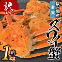 【ふるさと納税】 ★ 訳あり ★ 鼠ヶ関産 冷凍 ボイルズワイガニ（約1kg） | 楽天ふるさと 納税 山形 山形県 山形県鶴岡市 鶴岡市 食品 支援品 鶴岡 支援 特産品 魚介 魚介類 返礼品 お礼の品 ずわい ズワイ ズワイガニ ズワイ蟹 ボイル かに カニ ずわいがに 海の幸