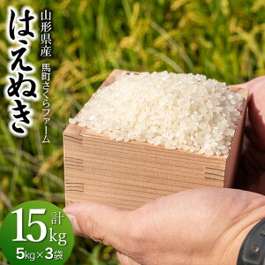 【ふるさと納税】【令和7年産先行予約】馬町さくらファームの はえぬき 精米15kg(5kg×3袋) K-7108