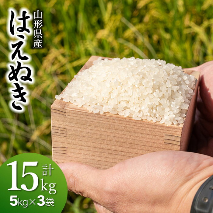 【ふるさと納税】 【令和4年産 先行予約】さくらファームの はえぬき 15kg（5kg×3袋）精米