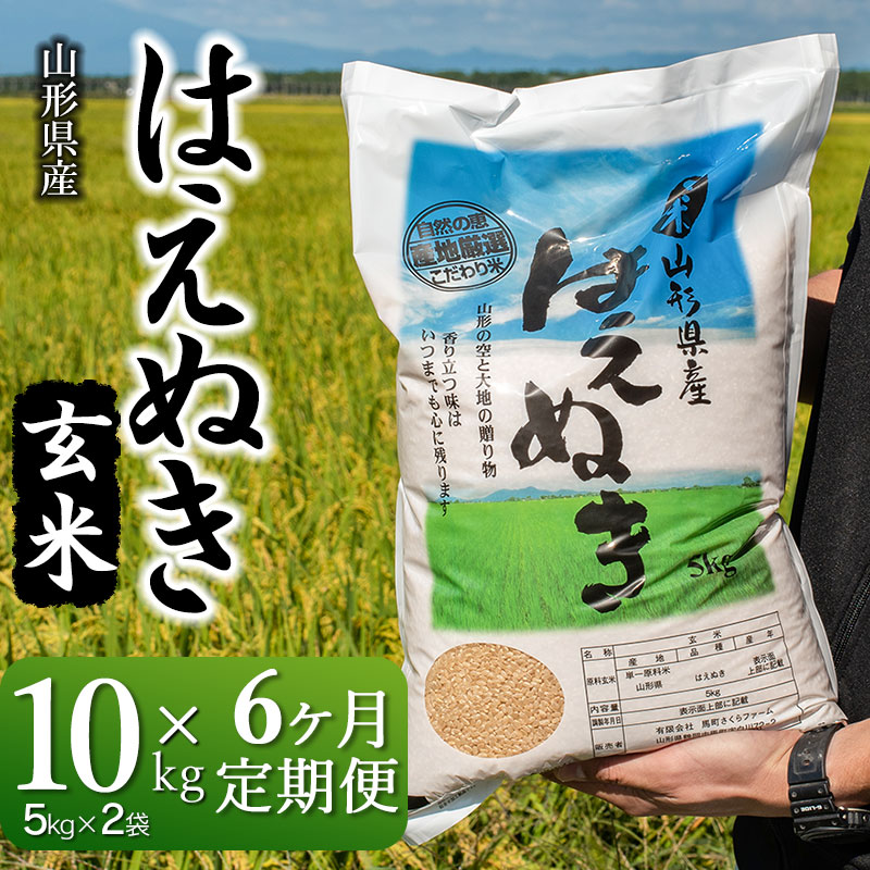 【ふるさと納税】 【令和4年産】【定期便6ヶ月】さくらファームのはえぬき 玄米 10kg（5kg×2袋）×6ヶ月 新米