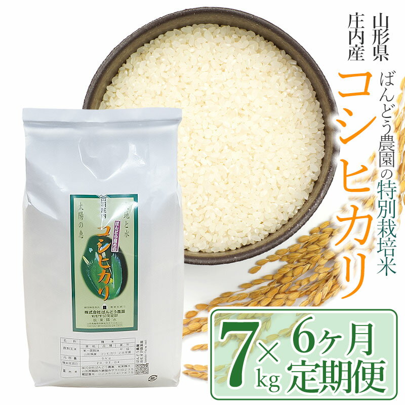 [令和5年産][定期便6ヶ月]ばんどう農園の特別栽培米 コシヒカリ 精米7kg×6ヶ月 計42kg