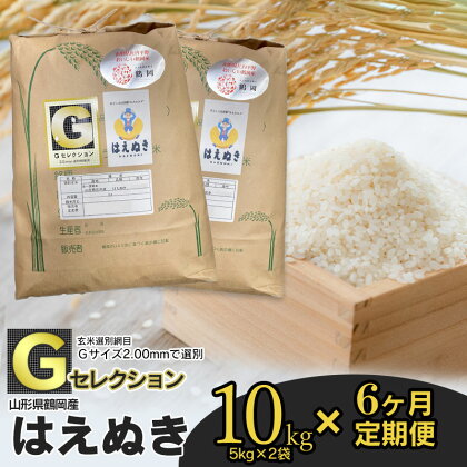 【定期便6ヶ月】【令和5年産】山形県鶴岡産　Gセレクションはえぬき10kg(5kg×2袋）×6回　計60kg