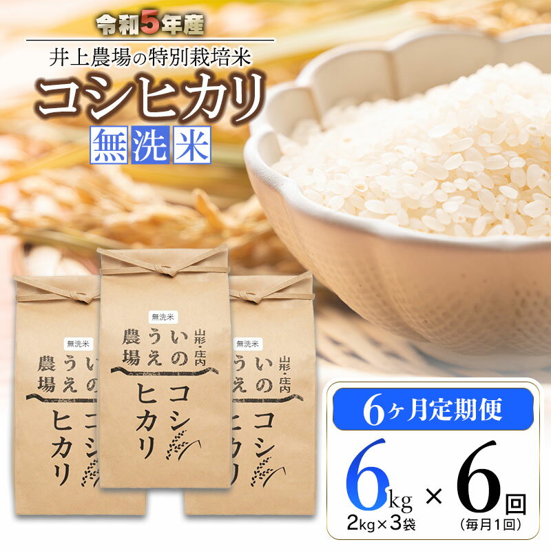 [定期便6ヶ月][令和5年産]井上農場のコシヒカリ 無洗米 6kg(2kg×3袋)×6ヶ月