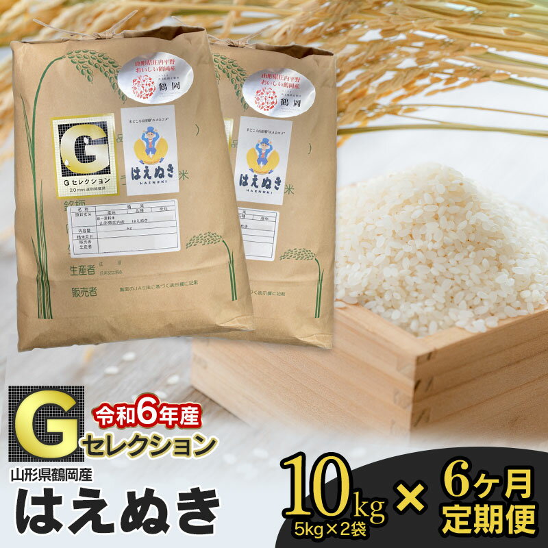 【令和6年産 先行予約】【定期便6ヶ月】Gセレクション はえぬき 10kg(5kg×2袋）×6回 計60kg 山形県鶴岡産 つき加減(精米加減)が選べる（玄米・5分つき・7分つき・白米） F66-001