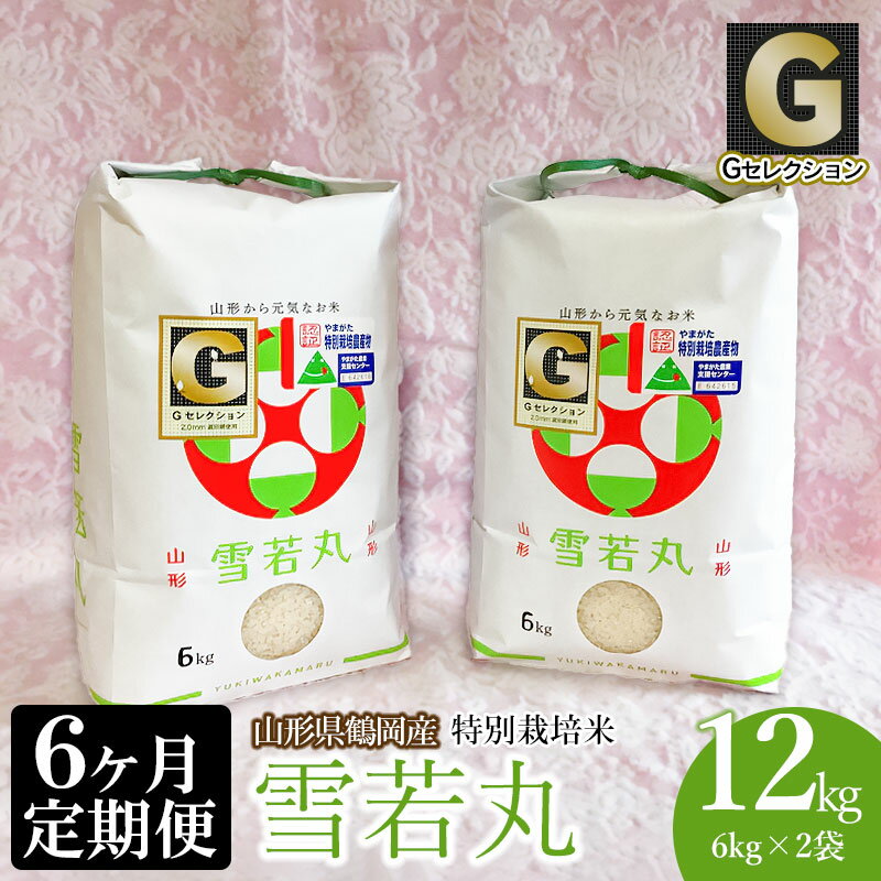 [6ヶ月定期便][令和5年産]山形県鶴岡産 Gセレクション 特別栽培米 雪若丸12kg(6kg×2袋)×6回 つき加減(精米加減)が選べる