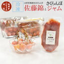 【ふるさと納税】山形県鶴岡市さくらんぼ「佐藤錦」(冷凍)とさくらんぼジャム(冷凍)のセット| 山形県 鶴岡市 山形 鶴岡 さくらんぼ 佐藤錦 サクランボ フルーツ 冷凍 果物 くだもの ジャム 無添加 フルーツジャム 冷凍フルーツ 国産 冷凍果物 ご当地 じゃむ デザート