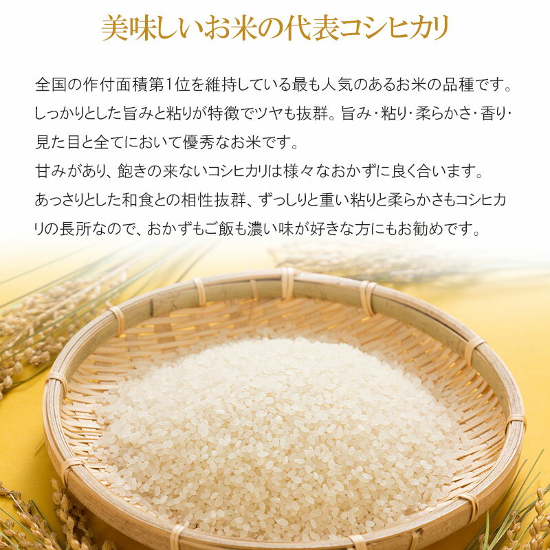 【ふるさと納税】 コシヒカリ パックライス 山形県庄内産 180g × 24P 【発送時期選べます】 災害備蓄用に最適 | パックごはん パックご飯 山形県 鶴岡市 楽天ふるさと 納税 返礼品 レンチンご飯 食品 山形 ごはんパック ご飯パック パック米 レンジ 防災 まとめ買い 非常食