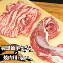 羽黒緬羊ヒレ1本（約200g）と焼肉用スライス（300g） 肉バルYAKU禄 羊肉 | 山形県 鶴岡市 返礼品 お取り寄せ お肉 ひつじ ヒレ肉 ひれ肉 焼き肉 食べ比べ 詰め合わせ セット bbq バーベキュー キャンプ 美味しい フィレ肉