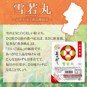 【ふるさと納税】雪若丸 パックライス 山形県 庄内産 180g×48P（24食入×2ケース） 災害備蓄用 | パックごはん パックご飯 鶴岡市 レンチンご飯 食品 山形 ご飯パック ごはんパック ご飯 レンジ 防災 一人暮らし 非常食 常温保存 湯煎 ライス パック米 防災グッズ