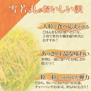 【ふるさと納税】雪若丸 パックライス 山形県 庄内産 180g×48P（24食入×2ケース） 災害備蓄用 | パックごはん パックご飯 鶴岡市 レンチンご飯 食品 山形 ご飯パック ごはんパック ご飯 レンジ 防災 一人暮らし 非常食 常温保存 湯煎 ライス パック米 防災グッズ