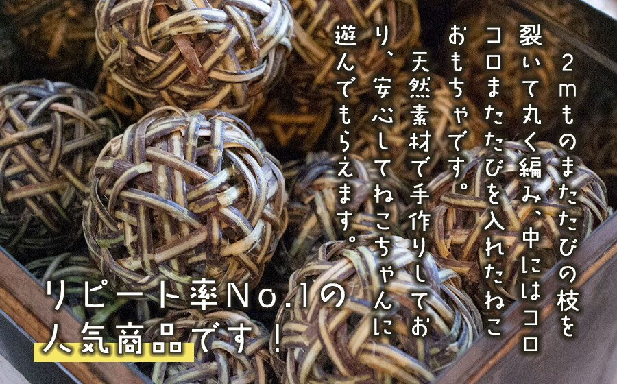 山形県鶴岡市の画像2