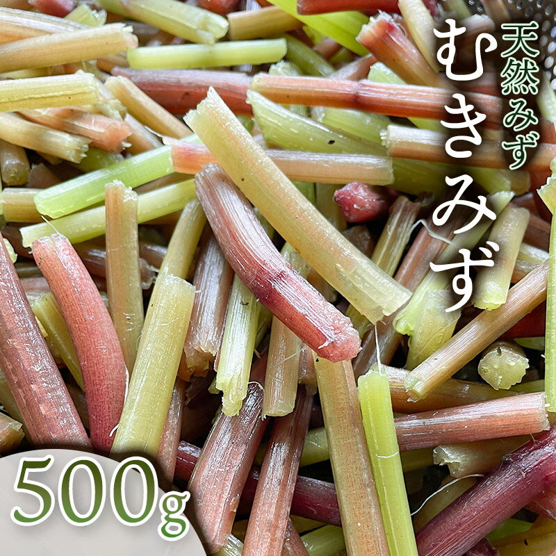 【ふるさと納税】 【令和6年産 先行予約】むきみず 500g　天然みず 　わかば屋　2024年のサムネイル