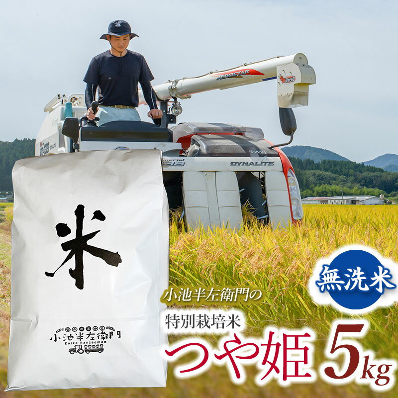 [令和5年産]山形県庄内産 小池半左衛門のお米 特別栽培米 つや姫 無洗米 5kg