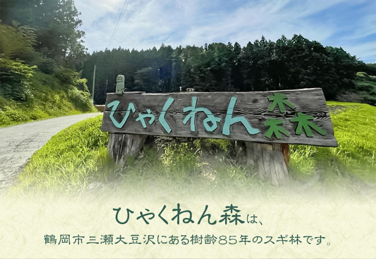 【ふるさと納税】ひゃくねん森の薪 杉（スギ）約15kg×3回お届け定期便 | 山形県 鶴岡市 山形 鶴岡 返礼品 支援 薪 まき キャンプ キャンプ用品 アウトドア キャンプギア キャンプグッズ 焚き火 焚火 針葉樹 定期便 定期 アウトドアグッズ 木材 薪ストーブ ソロキャンプ