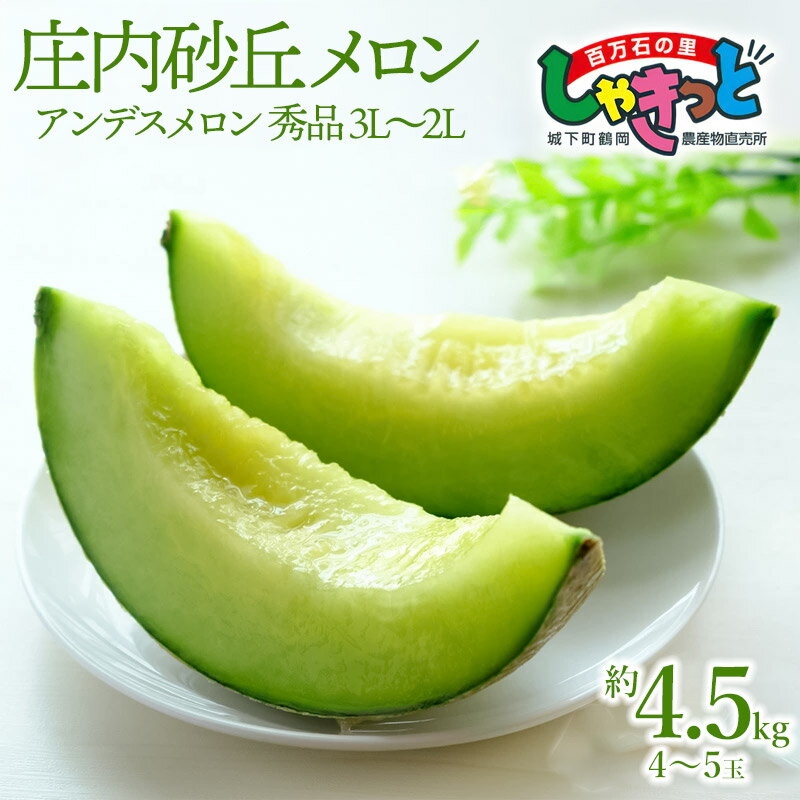 【ふるさと納税】【令和7年産先行予約】庄内砂丘 アンデスメロン 秀品 3L〜2L 約4.5kg(4〜5玉)青肉系 2025年産 K-739
