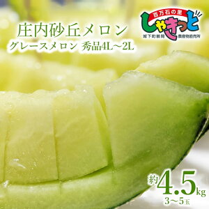 【ふるさと納税】【令和7年産先行予約】庄内砂丘グレースメロン 秀品4L〜2L 約4.5kg(3〜5玉)青肉系 2025年産 K-739