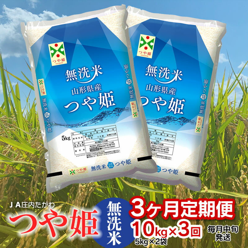 【ふるさと納税】【定期便】令和5年産 つや姫 【無洗米】10kg(5kg×2袋)×3ヶ月 山形県鶴岡市産 JA庄内たがわ 2023年 | つやひめ お米 白米 精米 ブランド米 庄内 10キロ お取り寄せ