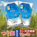 令和5年産 つや姫 10kg(5kg×2袋)×3ヶ月 山形県鶴岡市産 JA庄内たがわ 2023年 | つやひめ お米 白米 精米 ブランド米 庄内 10キロ お取り寄せ