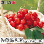 【ふるさと納税】【令和6年産 先行予約】さくらんぼ 佐藤錦 秀選バラ詰め【500g】 Lサイズ | 山形県 鶴岡市 返礼品 お取り寄せグルメ フルーツ 果物 くだもの サクランボ 東北 ご当地 特産品 名産品