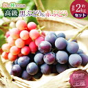 【ふるさと納税】【令和6年産 先行予約】【限定生産】幻の種あり品種 ぶどうの詰合せ 約2kg 季節の旬の高級黒ぶどう＆赤ぶどうセット | 山形県 鶴岡市 楽天ふるさと 納税 返礼品 支援品 フルーツ ブドウ 葡萄 くだもの 果物 詰め合わせ お取り寄せグルメ 家庭用